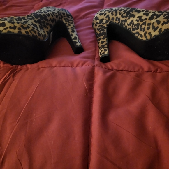 Leopard print chunky heels - Picture 5 of 7